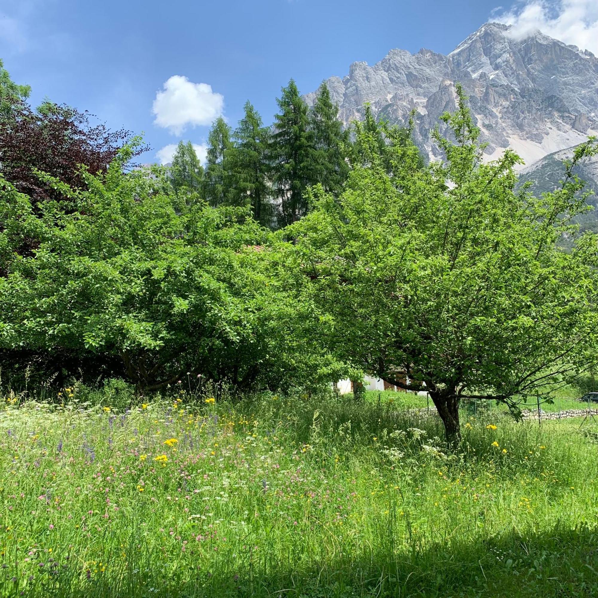 Villanova Piccolo Gioiello Di Montagnaアパートメント エクステリア 写真